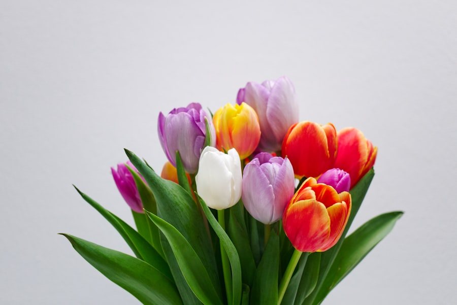 Tulipány